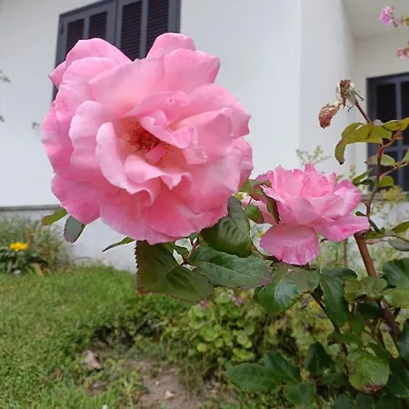 Casa Casa de Férias Foz do Arelho