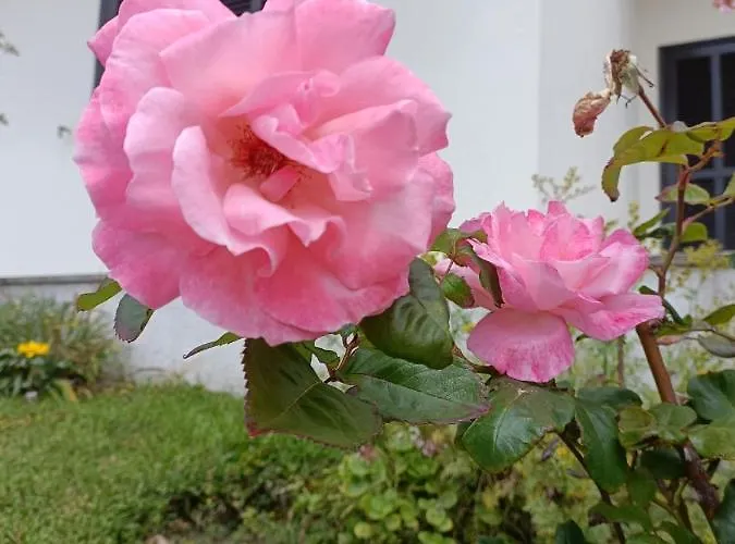 Casa Dom wakacyjny Foz do Arelho